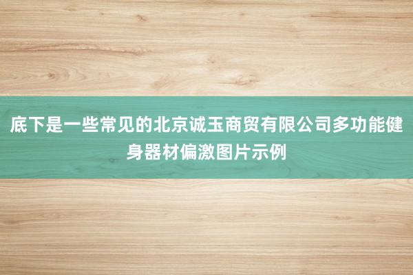 底下是一些常见的北京诚玉商贸有限公司多功能健身器材偏激图片示例
