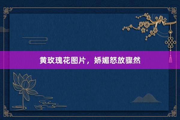黄玫瑰花图片，娇媚怒放骤然